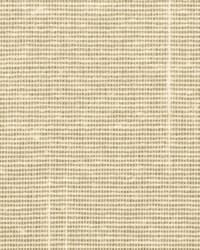 H262_PT_CU (it1407)