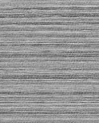 H513_PT_TR