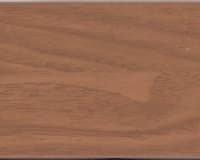 hazelnoot (hazelnut)