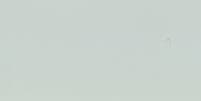 lichtgrijs mat (light gray matt)