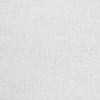 T096